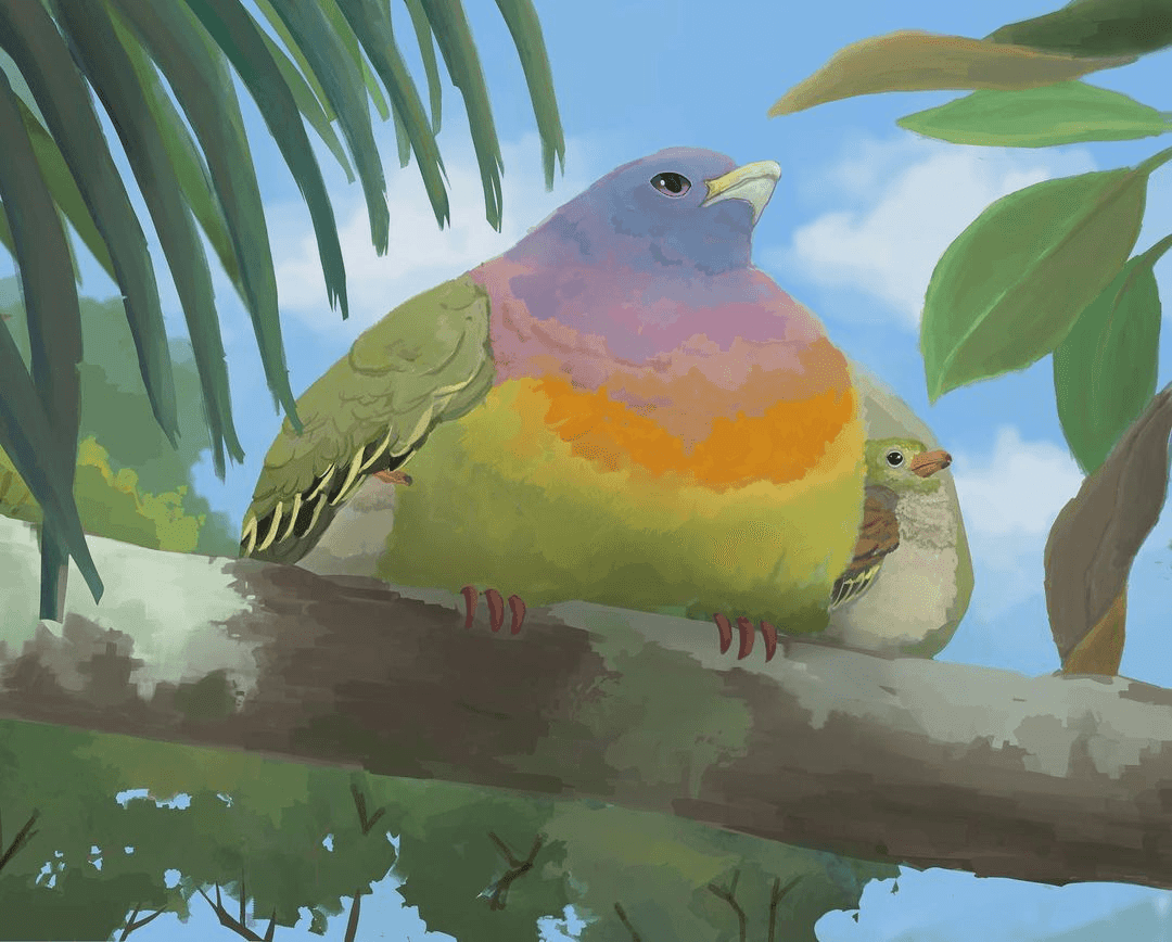 Pink-Neck Green Pigeon