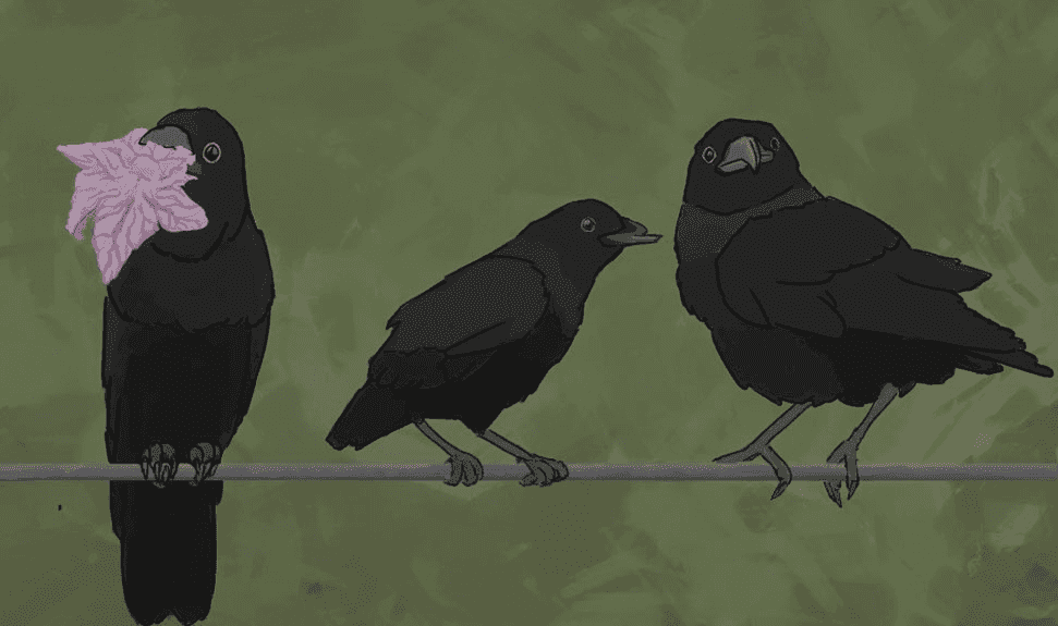 Crows