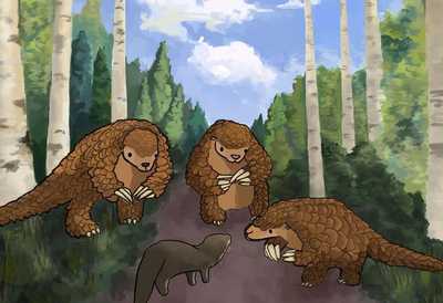 Rail Corridor Pangolins